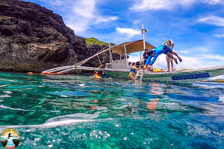Moalboal Sardine Run & Sea Turtle Snorkeling Tour in Cebu