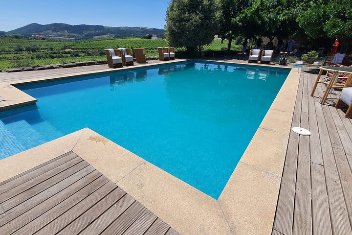 Douro Valley Premium Small-Group Tour: Wine, Lunch & Cruise