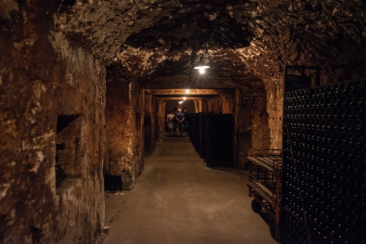 Reims afternoon tour Champagne and family growers