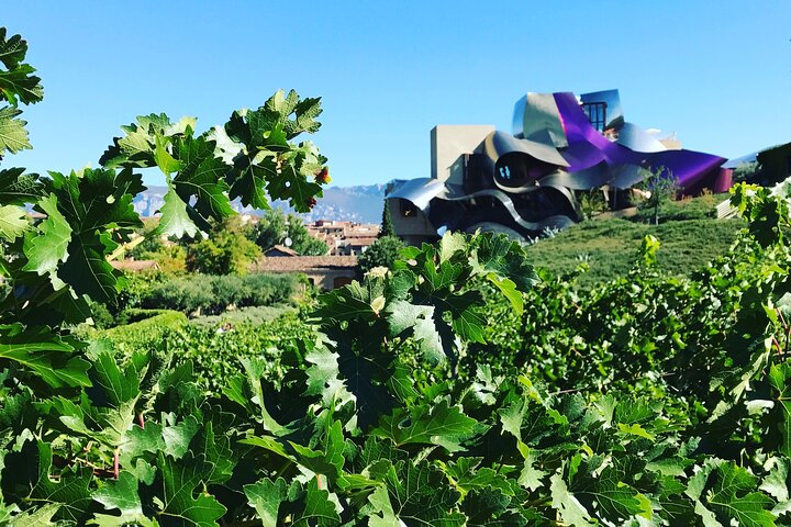 Architectural Rioja Wine Tour: Marqués de Riscal & Ysios (Bilbao)