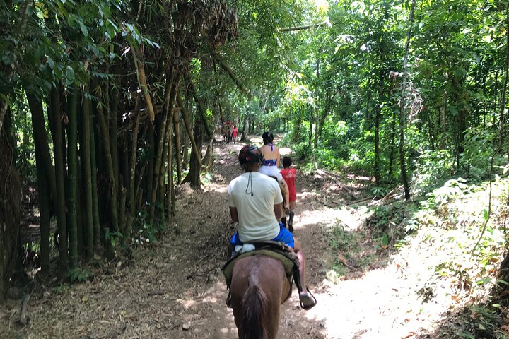 Adventure in the bay of samana and waterfall El limon from punta cana