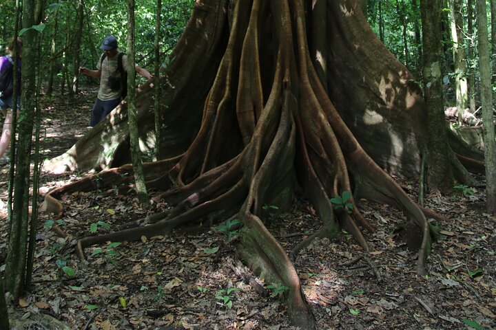 Pacheco Tours - Corcovado National Park Sirena from Drake Bay