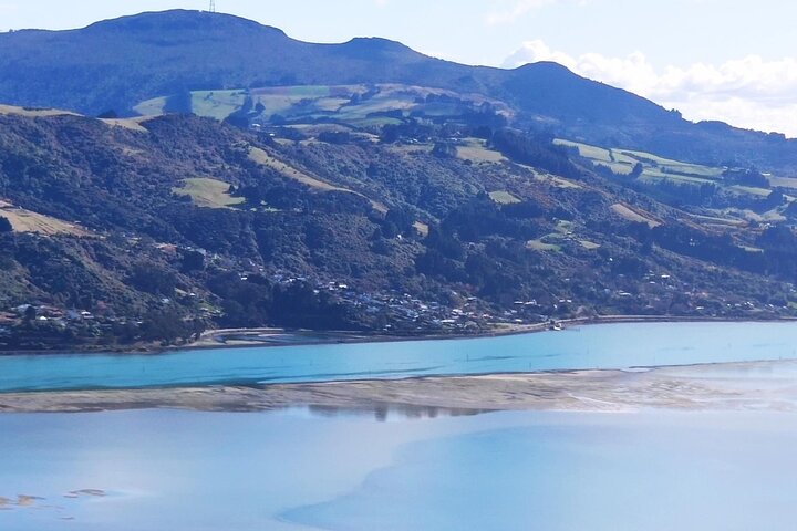 City Highlights, Larnach Castle Gardens Tour