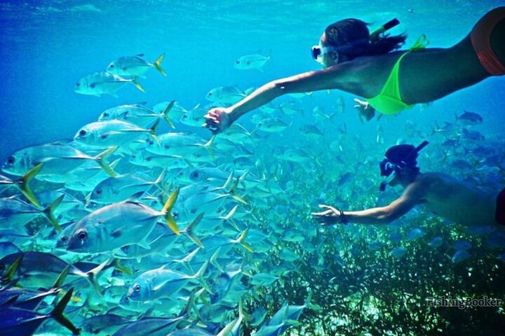 PRIVATE! | 4-hour Speed Boat Trip | Swim With Dolphins, Snorkeling & Island