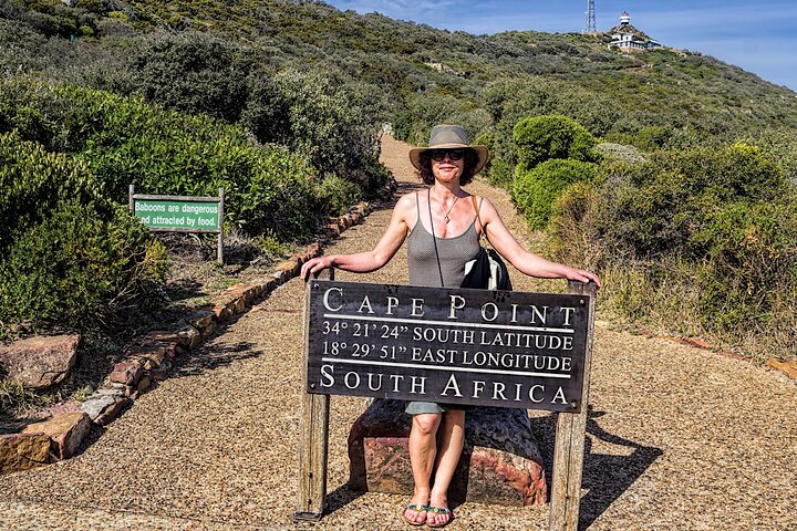 Half Day Boulders Penguins and Cape Point Small Group Tour