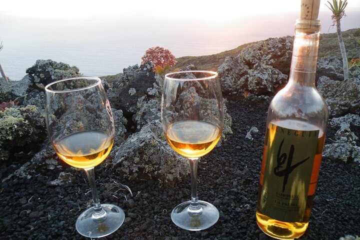Visit Bodegas Teneguía winery in La Palma with wine Tasting