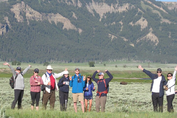 Lamar Valley Safari Hiking Tour with Lunch