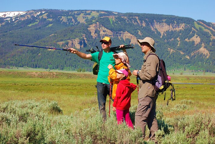 Lamar Valley Safari Hiking Tour with Lunch