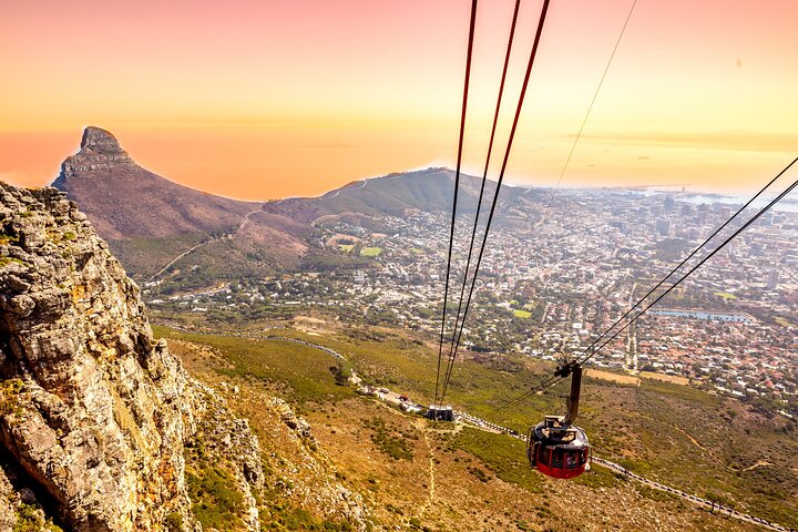 Table Mountain, Penguins & Cape Point Group Tour from Cape Town