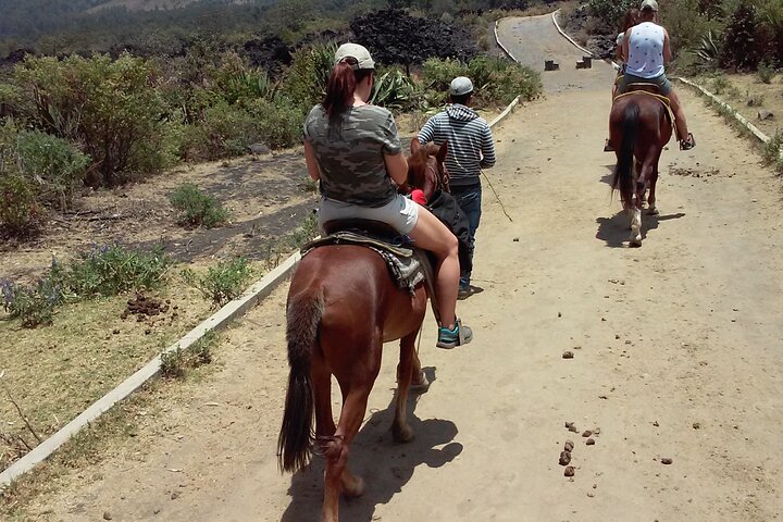 Paricutin Volcano Tour (Morelia)