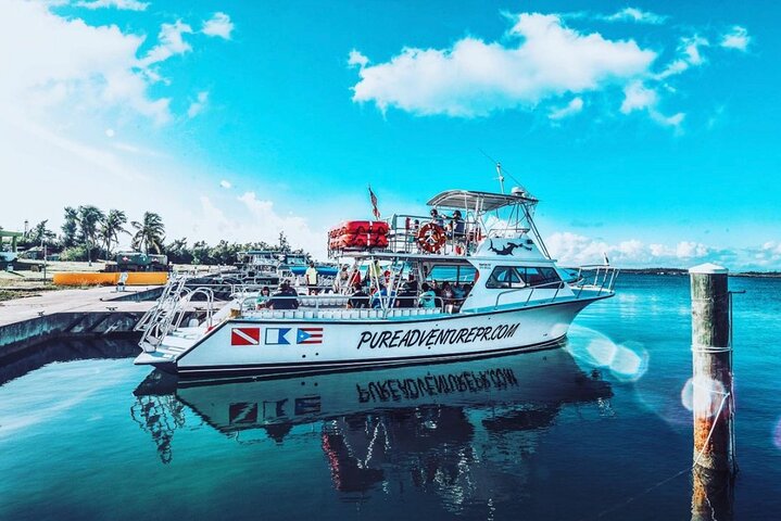Full-Day Snorkeling Tour to Culebra Island with Lunch