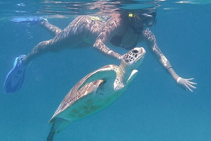 Full-Day Snorkeling Tour to Culebra Island with Lunch