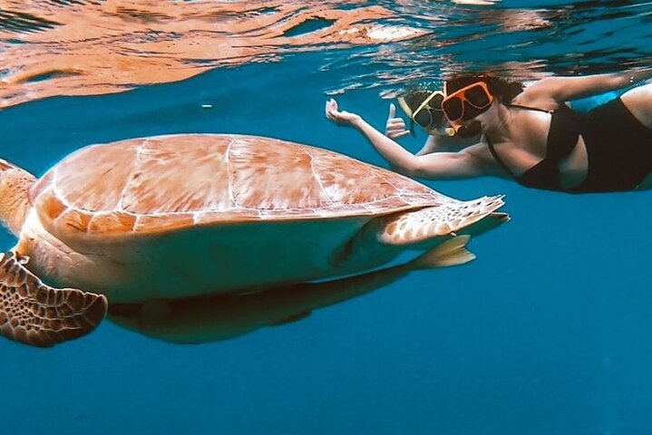 Full-Day Snorkeling Tour to Culebra Island with Lunch