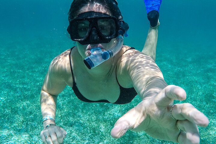Hol Chan Full-Day Bucket List Snorkeling and Marine Life Tour