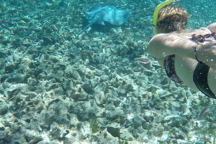 Hol Chan Full-Day Bucket List Snorkeling and Marine Life Tour