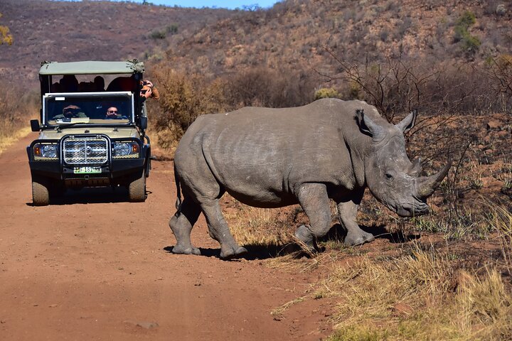 3-Hour Private Game Drive of Pilanesberg National Park