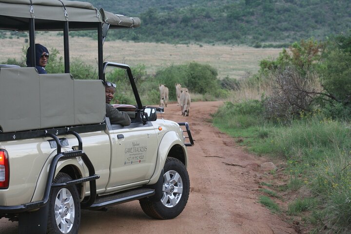 3-Hour Private Game Drive of Pilanesberg National Park