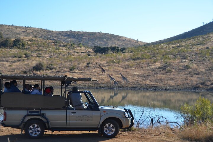 3-Hour Private Game Drive of Pilanesberg National Park
