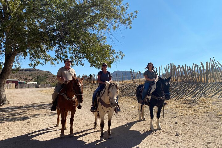 Horseback Ride Joshua Tree Forest Buffalo Lunch Singing Cowboy