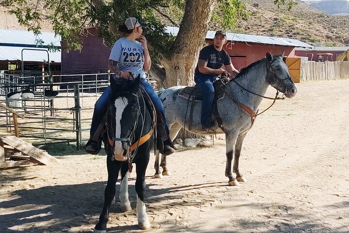 Horseback Ride Joshua Tree Forest Buffalo Lunch Singing Cowboy