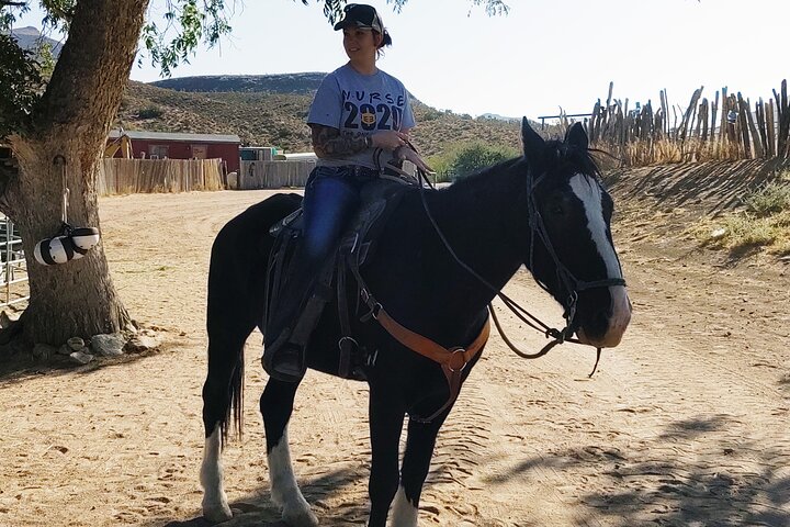 Horseback Ride Joshua Tree Forest Buffalo Lunch Singing Cowboy