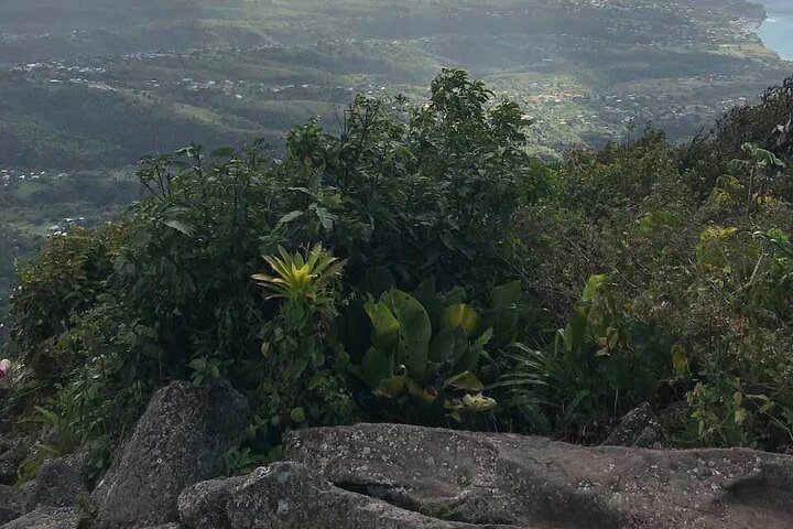Gros Piton Hike St. Lucia