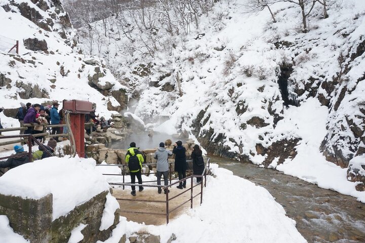1-Day Snow Monkeys, Zenko-ji Temple & Sake in Nagano