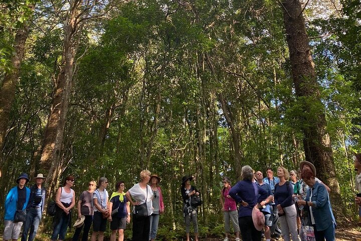 Breakfast Bushwalk & Clifftop BBQ Tour