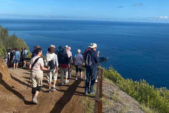 Breakfast Bushwalk & Clifftop BBQ Tour
