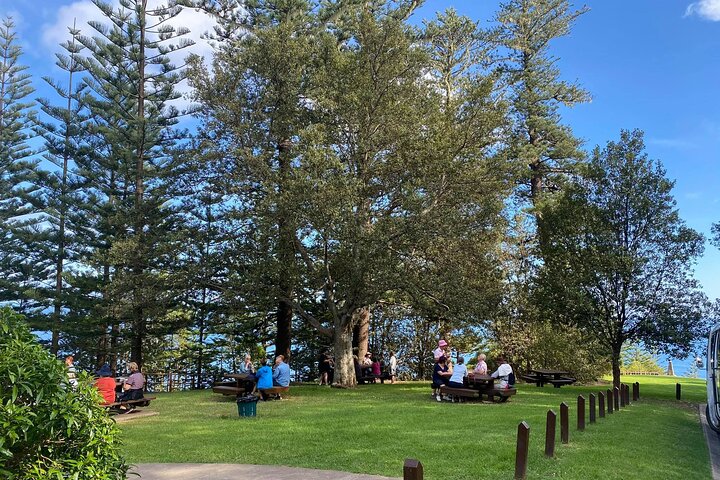 Breakfast Bushwalk & Clifftop BBQ Tour