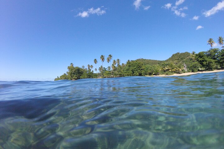 Coral Reef Snorkel Adventure with Photos and Videos