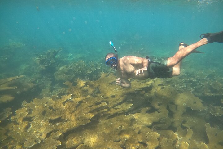 Coral Reef Snorkel Adventure with Photos and Videos