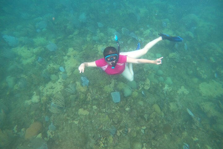 Coral Reef Snorkel Adventure with Photos and Videos