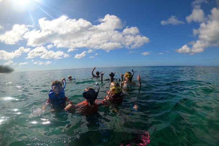 Coral Reef Snorkel Adventure with Photos and Videos