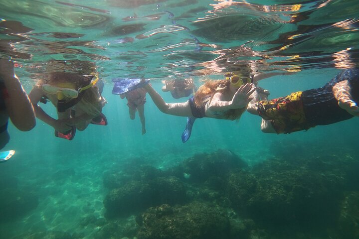 Coral Reef Snorkel Adventure with Photos and Videos