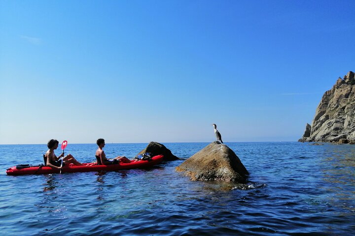 Kayak experience with Carnassa Tour in Cinque Terre + Snorkeling