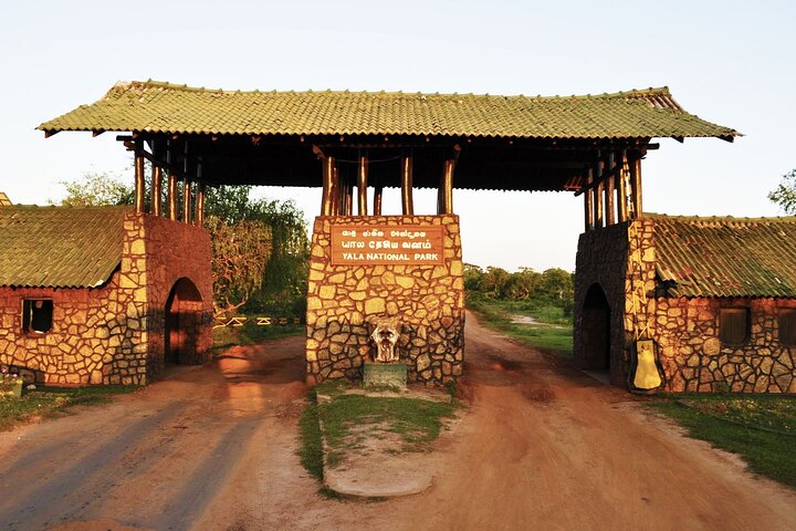 Yala National Park Safari - Private Tour