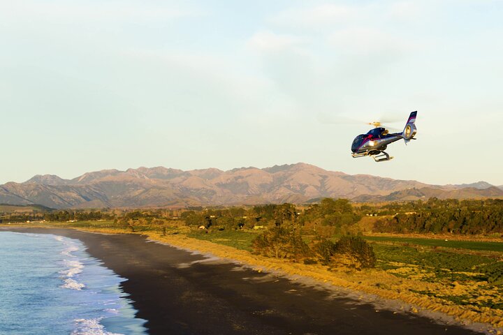 Kaikoura Helicopters Extended Whale Watch