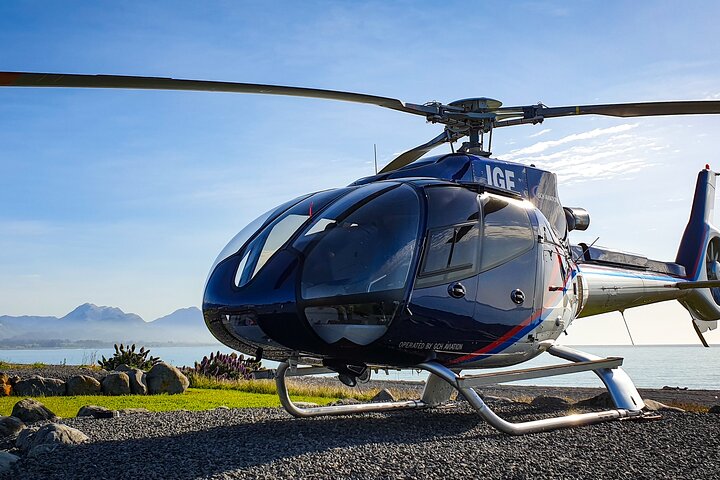 Kaikoura Helicopters Extended Whale Watch