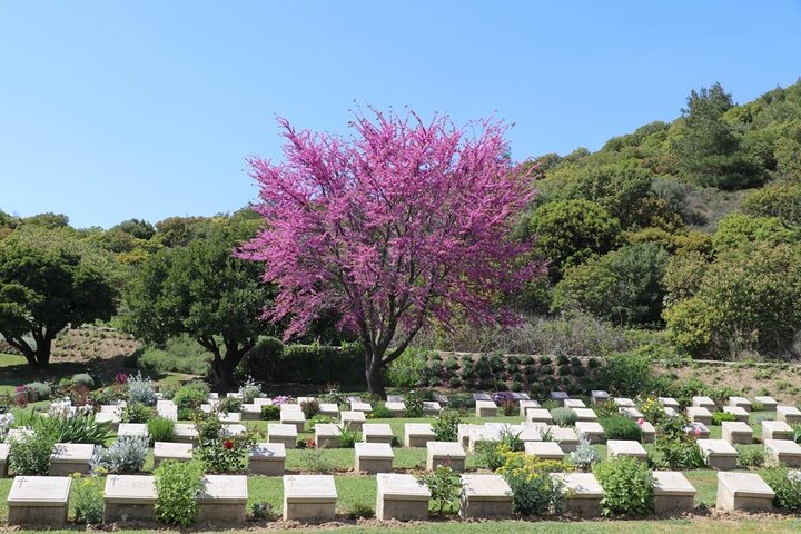 Combined Troy and Gallipoli Tour from Canakkale with onwards transfer to Istanbul
