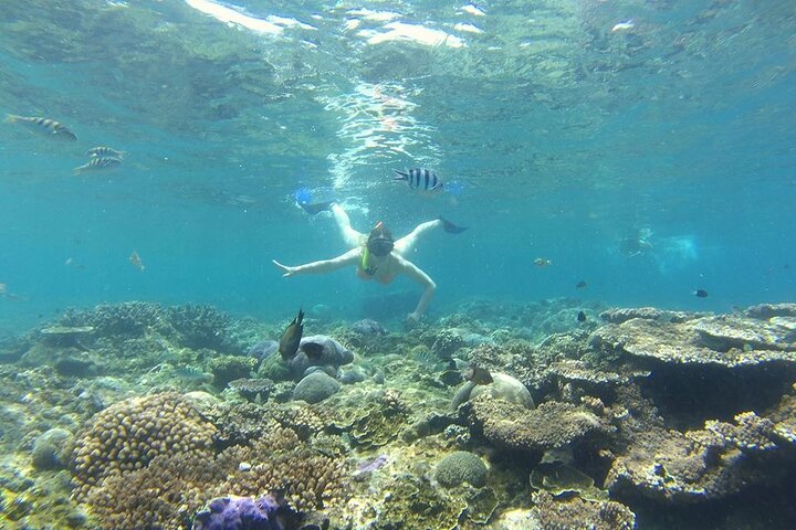 Bali Blue Lagoon Snorkeling with Lunch & Private Hotel Transfer