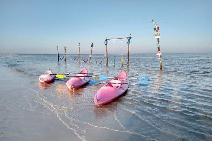 Kayak Experience in the Mangroves of Holbox Island