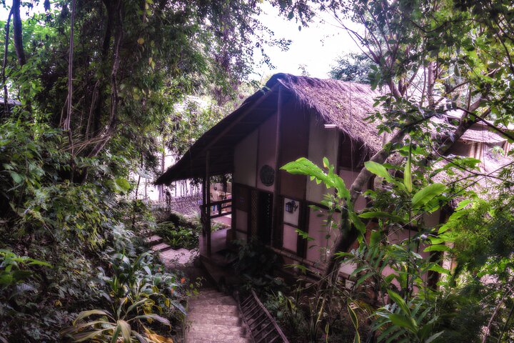 Full-Day Hiking Tour in Minca with coffee & Cocoa Workshop