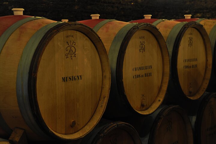 Full-Day Private Tour, 6 Premiers & Grands Crus, The Best of Burgundy