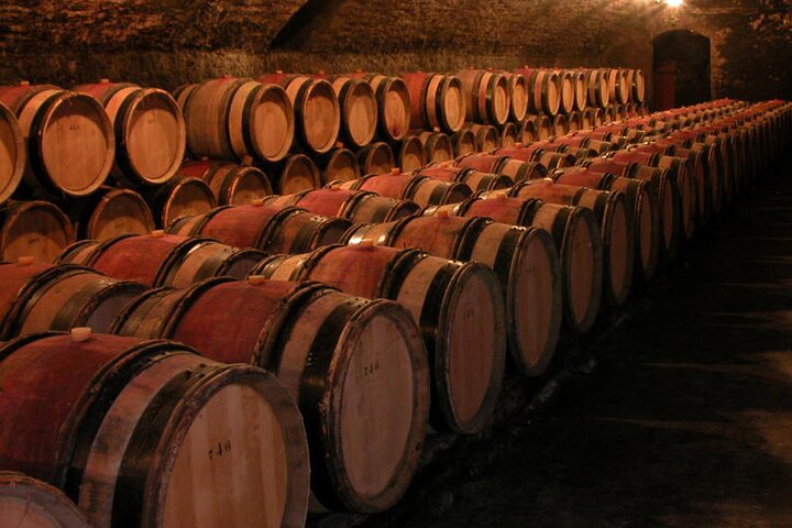 Full Day Private Tour 10 Premiers & Grands Crus, The Best of Burgundy
