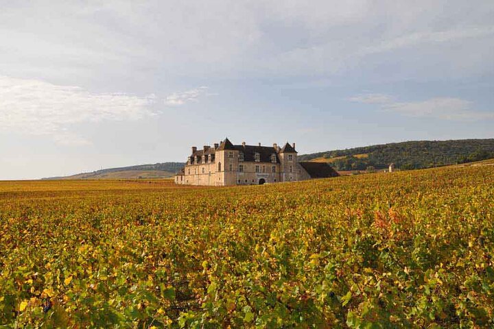 Full Day Private Tour 10 Premiers & Grands Crus, The Best of Burgundy