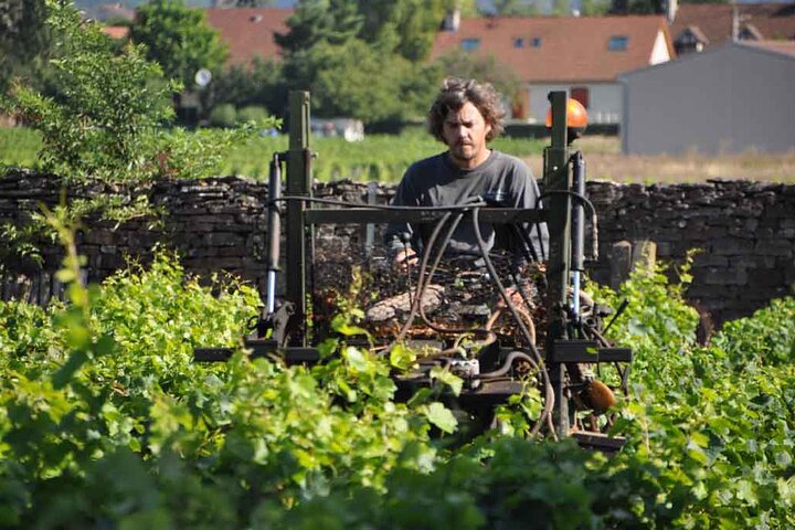 Small-Group Full-Day Tour of Côte de Nuits, Côte de Beaune Vineyards and Beaune Historical District