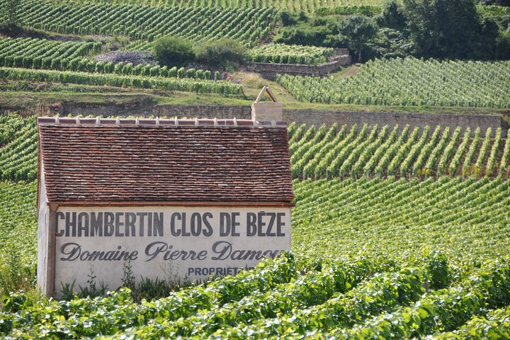 Full-Day Private Tour, 6 Premiers & Grands Crus, The Best of Burgundy