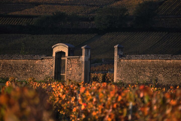 Full-Day Private Tour, 6 Premiers & Grands Crus, The Best of Burgundy