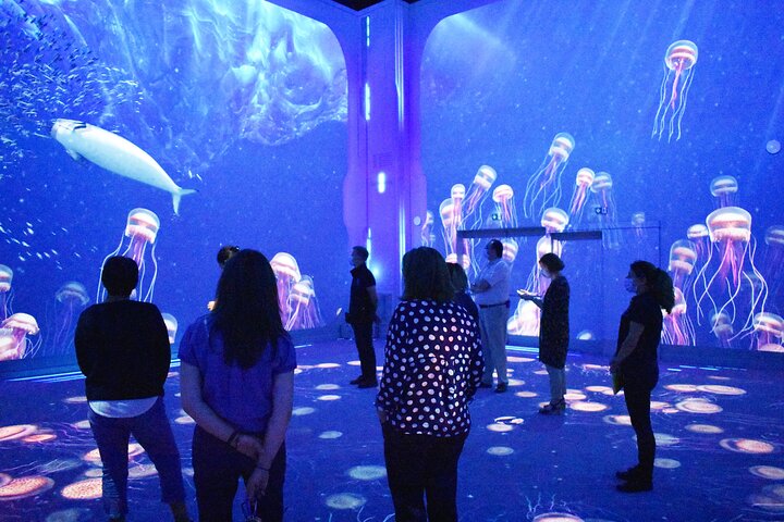 Entrance Ticket Nausicaa, the biggest aquarium in Europe